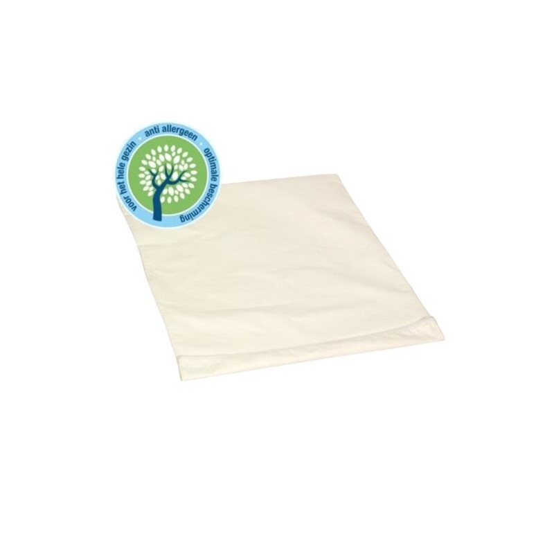 AMP Hoes voor hoofdkussen 65x65cm | 1st