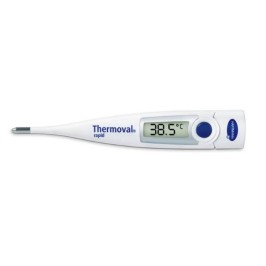 Thermometer Thermoval rapid  | 1st