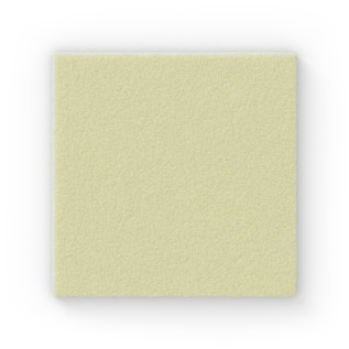 Exufiber Ag+ 15x15cm | 10pcs